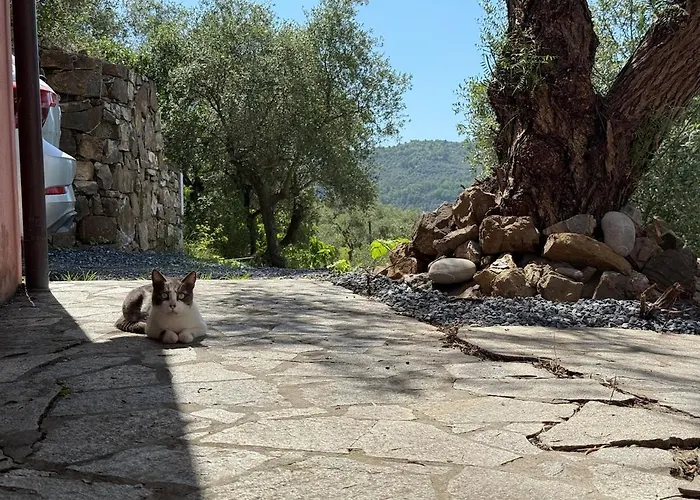 Host4U - Villa Cuccarello With Stunning View On The Valley
